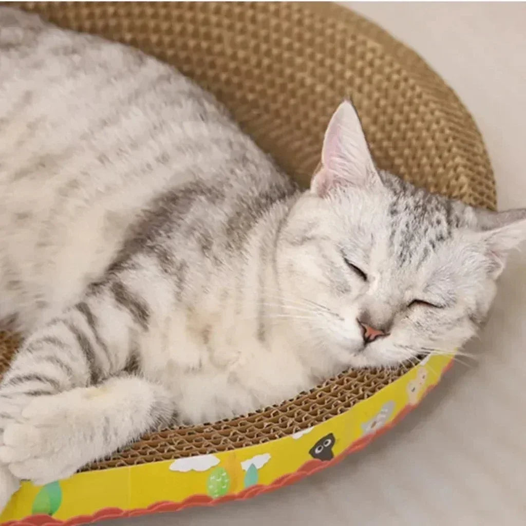 CATZIS™“Anti-Sofa Cat Scratcher”