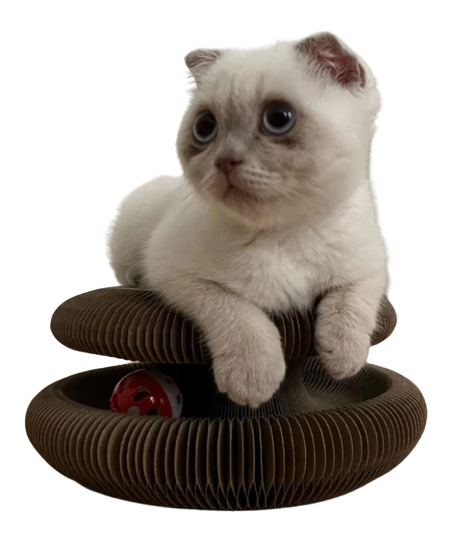 CATZIS™ Cat Scratcher Bell
