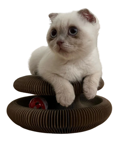 CATZIS™ Cat Scratcher Bell